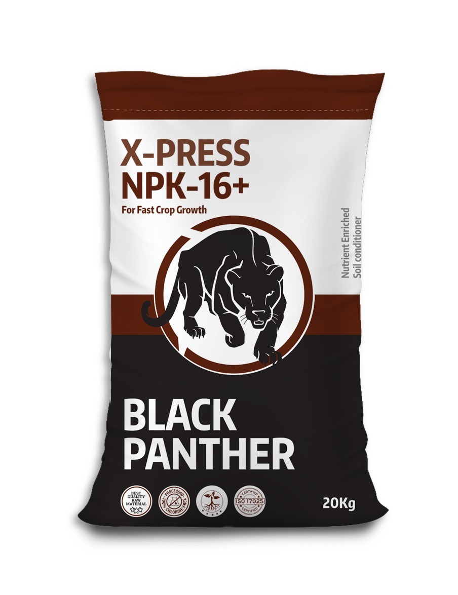Black Panther N-16+